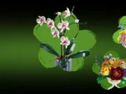 LEGO Reveals Two New Botanicals You Can Buy Now Two new LEGO Botanicals sets announced